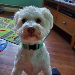 Meet your Posher, Kelly